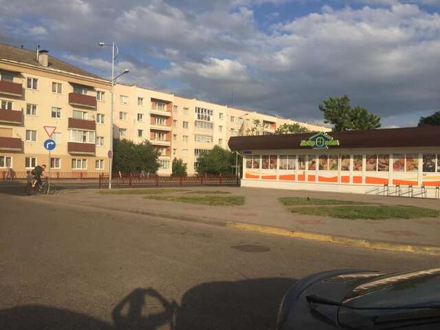 Апартаменты Apartment on Truhanova Лида-19